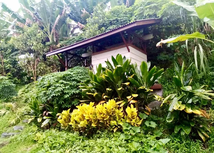 Ohana Beach Hostel Bungalows & Dortoir